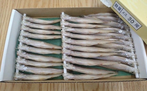 【期間限定価格・数量限定】生乾ししゃも中メス30尾