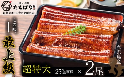 ＼ギフトにも最適！南九州産 鰻蒲焼／