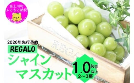 【他サイトで1位獲得!】頬張る幸福感 ~緑の宝石・ シャインマスカット ~ 1kg以上(2~3房)