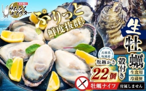 坂越かき 殻付き 22個 【ナイフなし】