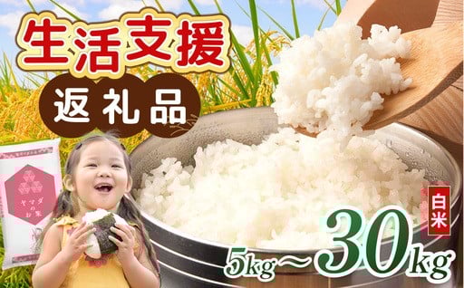 【緊急支援返礼品】選べる容量！生活応援米