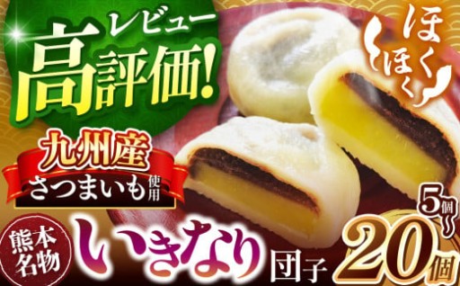高評価獲得! 肥後の本格 いきなり 団子  5個 ~ 20個