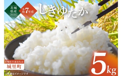 【数量限定】【令和7年度産 新米】茨城県産しきゆたか5kg