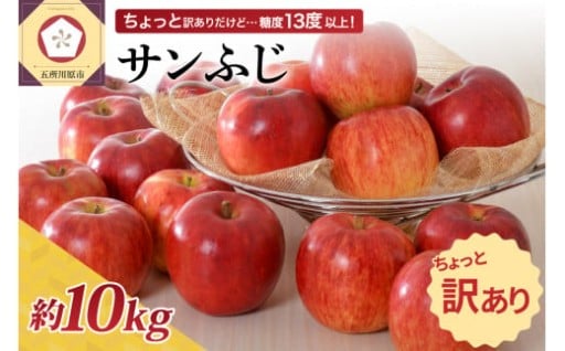 【 2025年 先行受付】りんご 訳あり 【選べる配送時期】約 10kg サンふじ 青森産