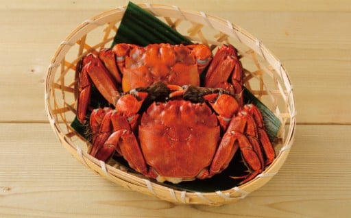 🦀✨ 旨味ぎゅぎゅっと！四万十川の天然ツガニ！ ✨🦀