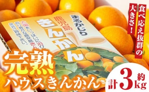 <先行予約>完熟ハウスきんかん(約3kg)
