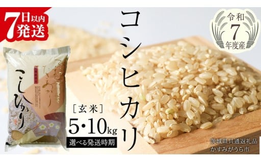 ＼ 玄米も大人気！ ／ 令和7年産こしひかり🌾