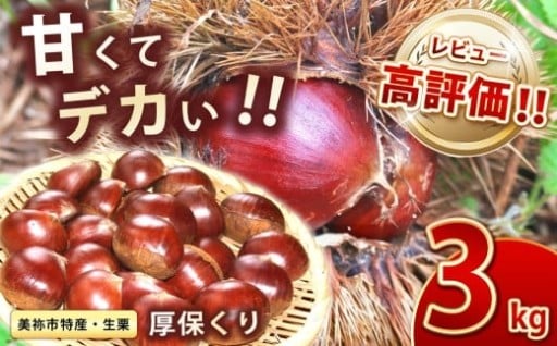 甘くて デカい ! ３Lサイズ 厚保くり ( 生栗 ) 約3kg 