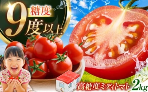 糖度9度超え！？江田島産ミディトマト🍅