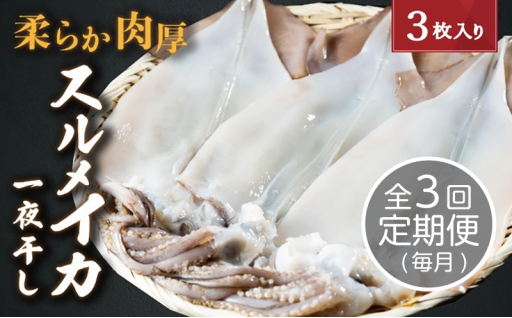 【毎月_定期便 全3回】日本海産柔らか肉厚のスルメイカ一夜干し(大)3枚 全3回