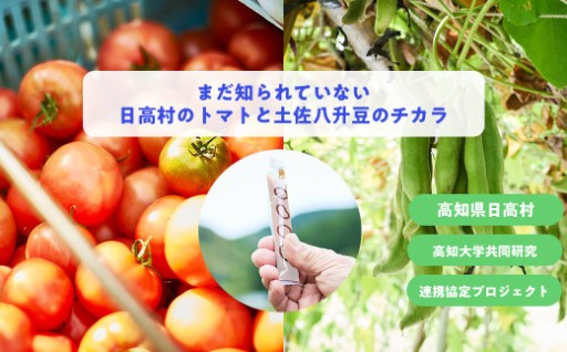 トマト豆ゼリーがテレビでも紹介されました!