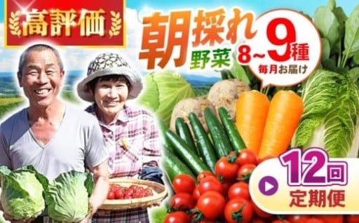 【12回定期便】献立が楽しみに！諫早の採れたて旬野菜セット（8～9品）