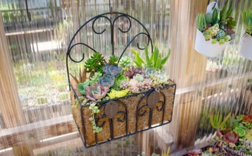 ✨約20種類の季節のかわいい多肉植物の寄せ植え✨お洒落なインテリアに💕