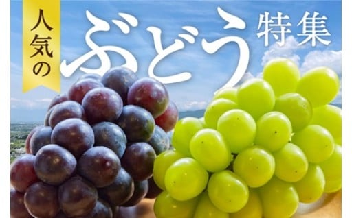 ~フルーツ王国・山梨県甲州市から、本場のぶどうをお届けいたします~