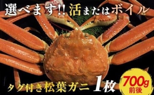 タグ付き松葉ガニ 中1枚（700g前後）