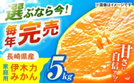 【レビューCP中】甘さ濃縮!訳あり伊木力みかん 5kg