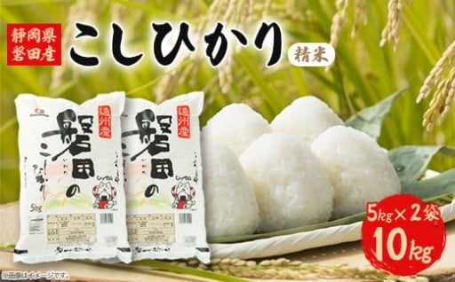 静岡県磐田産コシヒカリ(精米)5kg×2袋