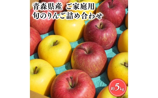 12月発送 【訳あり】旬のりんご詰め合わせ5㎏