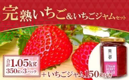 【農家直送】完熟いちご・いちごジャムセット🍓💕
