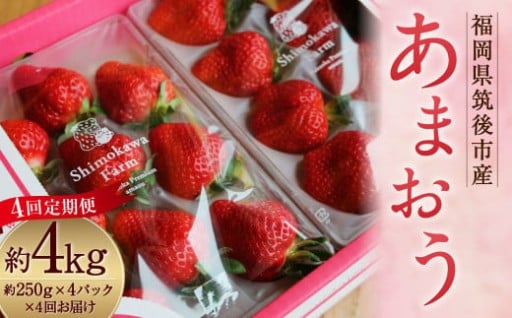 【4回定期便】 特別栽培の 濃厚 完熟 あまおう 約1kg 約250g×4パック
