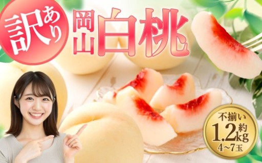 【訳あり】岡山白桃（家庭用）1.2kg以上