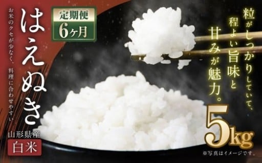 【6ヶ月定期便】【令和7年産新米】〈白米〉 はえぬき 5kg×6回 計30kg