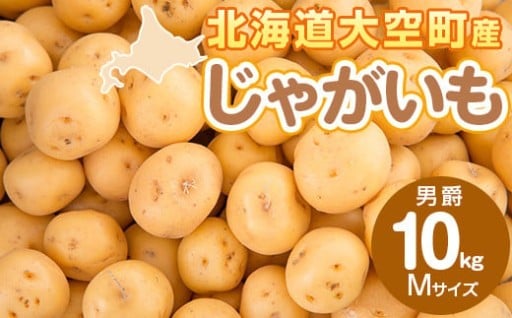 食の宝庫北海道の美味しい野菜をご賞味あれ！