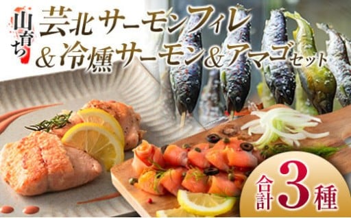 【11/3まで寄附額据置】芸北サーモン&アマゴ 清流育ちセット🐟✨