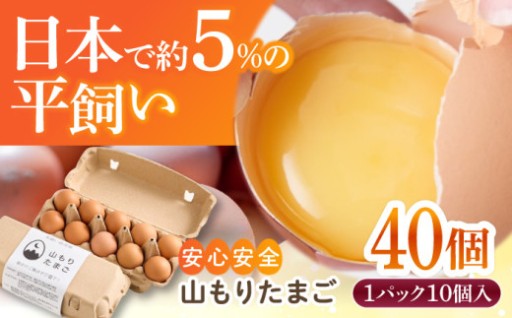 【家族に食べさせたい】平飼い 山もりたまご 40個