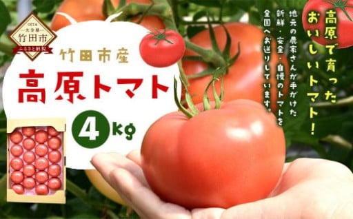 【竹田市産】高原トマト 4kg (約16～28個) 【ベジスタとまとちゃん】