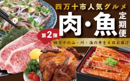 🌊🥩大人気!魚介&お肉の定期便【第2弾】🎉