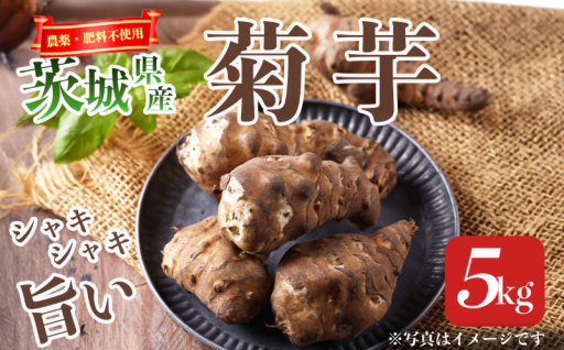 農薬・肥料不使用!安心安全な希少野菜