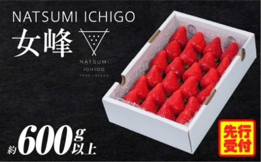 🍓NATSUMI ICHIGO 女峰 約600g以上（2026年1月～6月配送）🍓