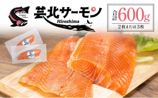 【11/3まで限定寄附額】芸北サーモンフィレ 約600g🐟 清流育ちで刺身も絶品✨