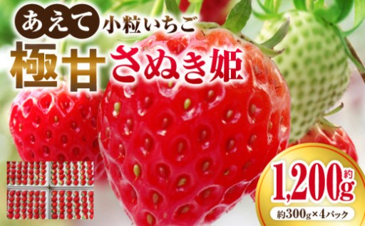 🍓【香川県三木町】極甘さぬき姫1,200g×1箱🍓