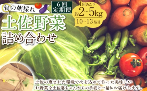 【定期便6回】旬の朝採れ土佐野菜詰め合わせ(10~13品目)