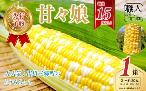 市川三郷町産　とうもろこし 甘々娘