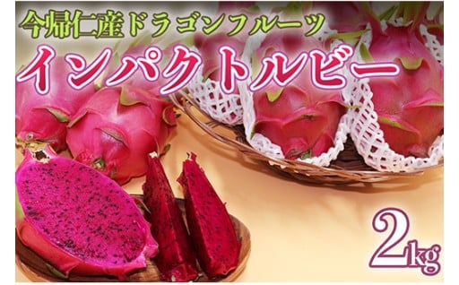 今帰仁産ドラゴンフルーツ「インパクトルビー」