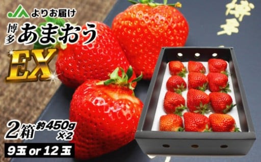 1月より順次発送!「博多あまおう🍓」EX 贈答用化粧箱 約450g 2箱