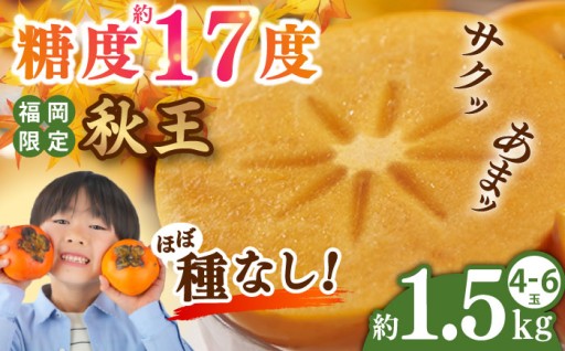 【ほぼ種なし!】サクッ甘の秋王柿✨