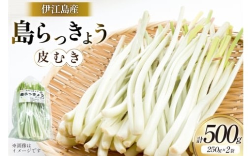 【期間限定発送】お手軽調理!皮むき島らっきょう!