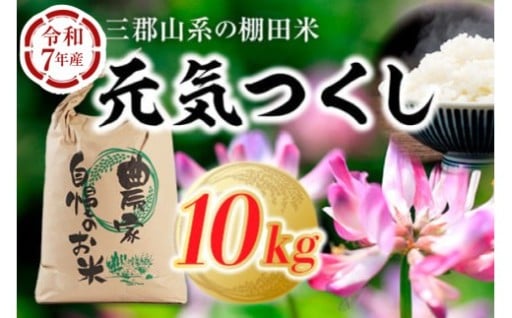 令和7年 元気つくし 10kg