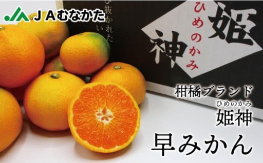 JAむなかたブランド姫神「早味かん🍊」3kg