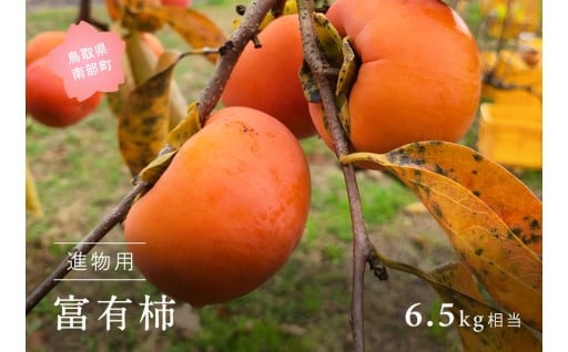 南部町のフルーツ代表格【富有柿 6.5kg箱】!