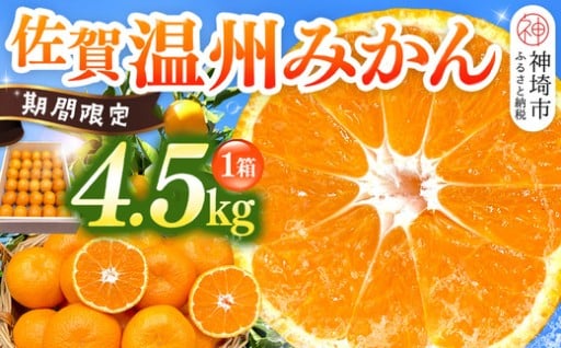 11月下旬より発送🚚佐賀温州みかん🍊
