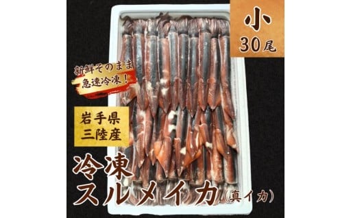 冷凍スルメイカ 小サイズ 30尾入り