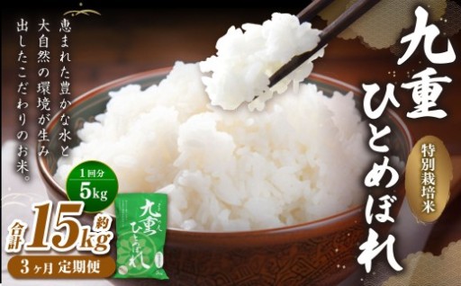 【3ヵ月定期便】 九重 ひとめぼれ 5kg×3回 計15kg