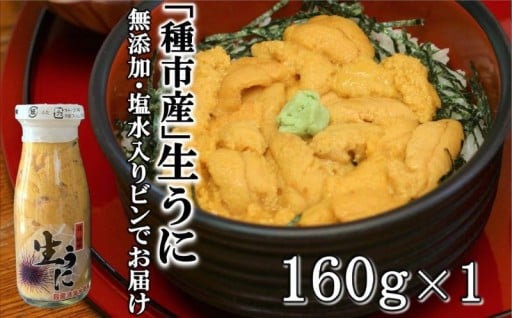 【令和８年発送】「種市産」天然生うに 160ｇ×1本