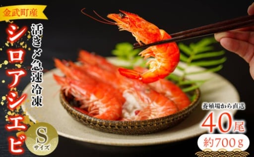 【養殖場から直送】活き〆急速冷凍 金武町産 シロアシエビ Sサイズ (バナメイエビ)