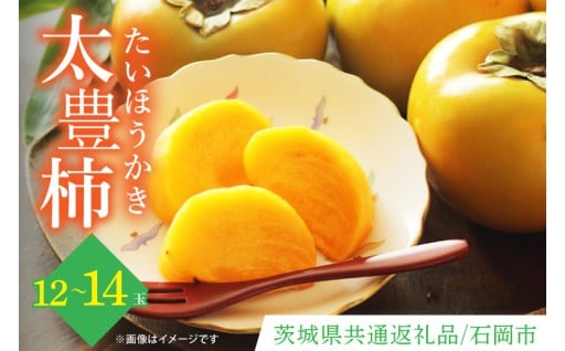 【数量限定】太豊柿 12玉~14玉